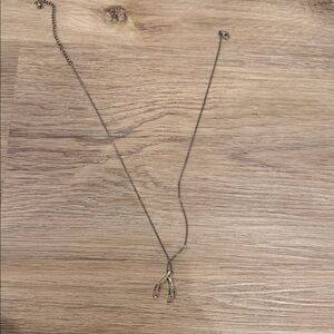 Silver Wishbone Necklace